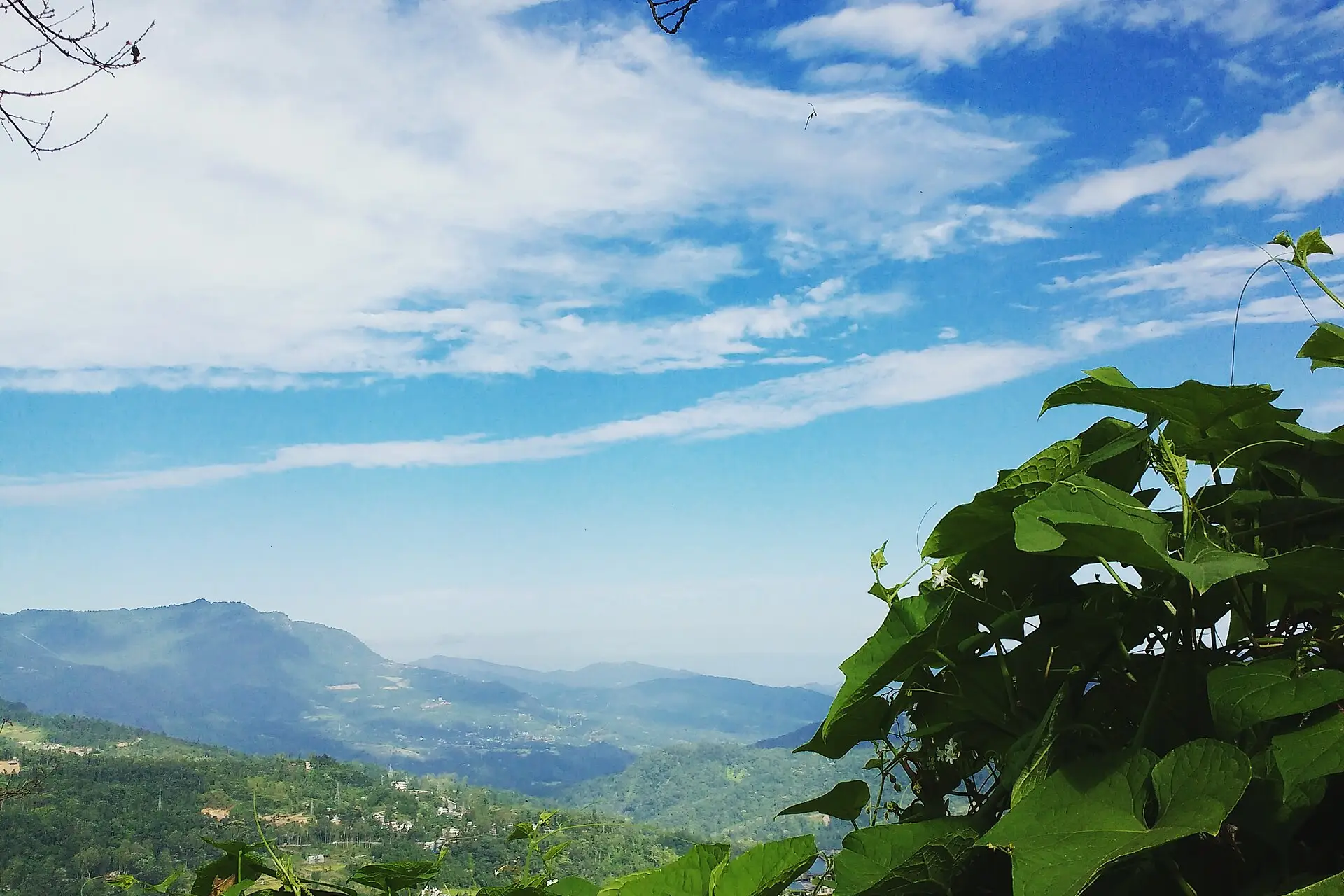Hills around Kohima, Nagaland