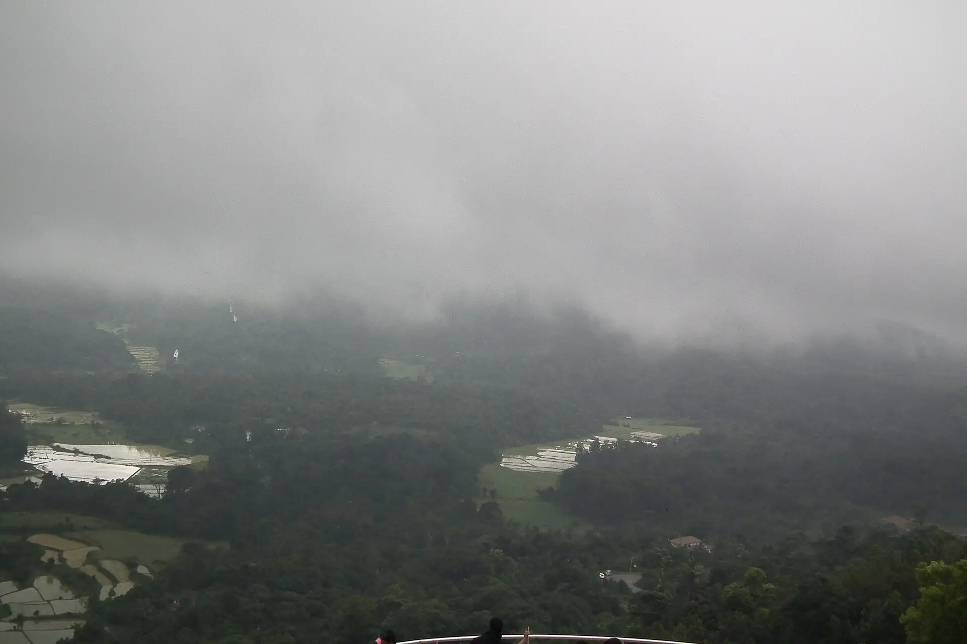 Misty hills and plantations around Madikeri, Coorg, Karnataka